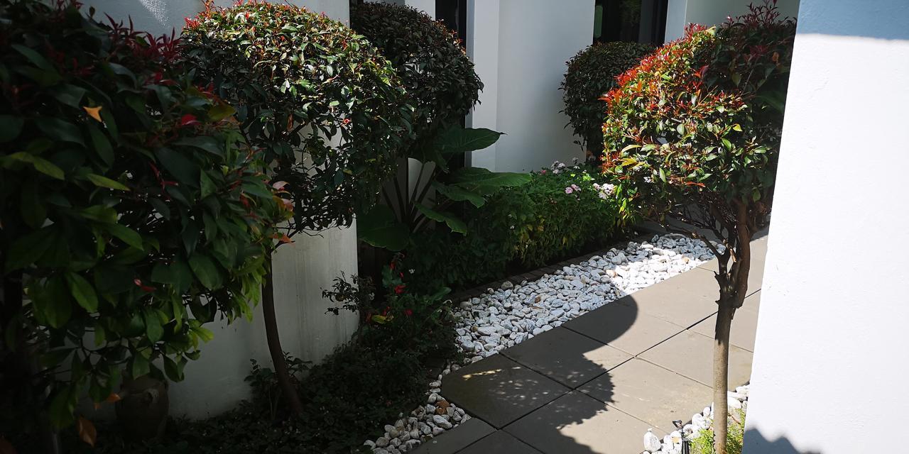 21 Kingfisher Guesthouse Johannesburg Eksteriør bilde